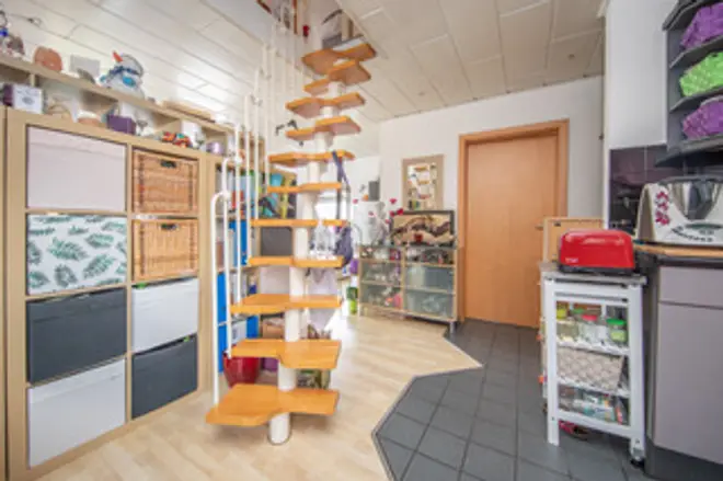 3 Zimmer Wohnung mit 66 m² in Lübeck – Bild 6