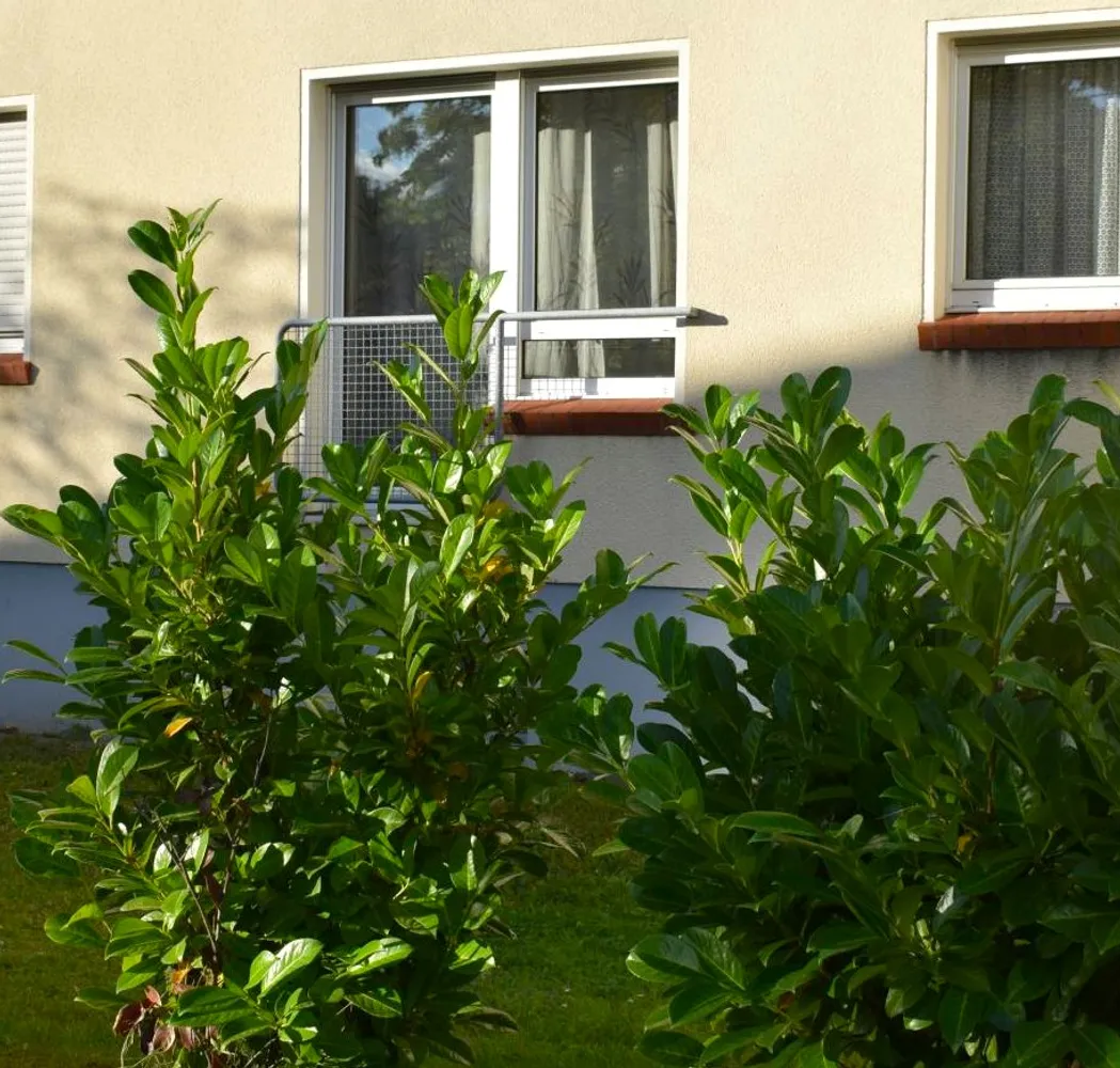 3 room apartment with 76 m² in Cologne – Photo 1