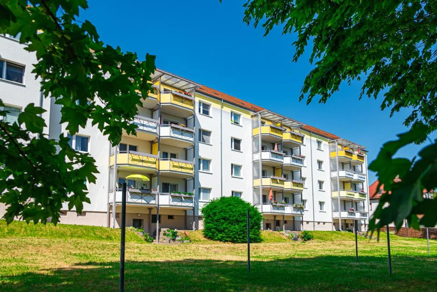 3 Zimmer Wohnung mit 61 m² in Zwickau – Bild 3