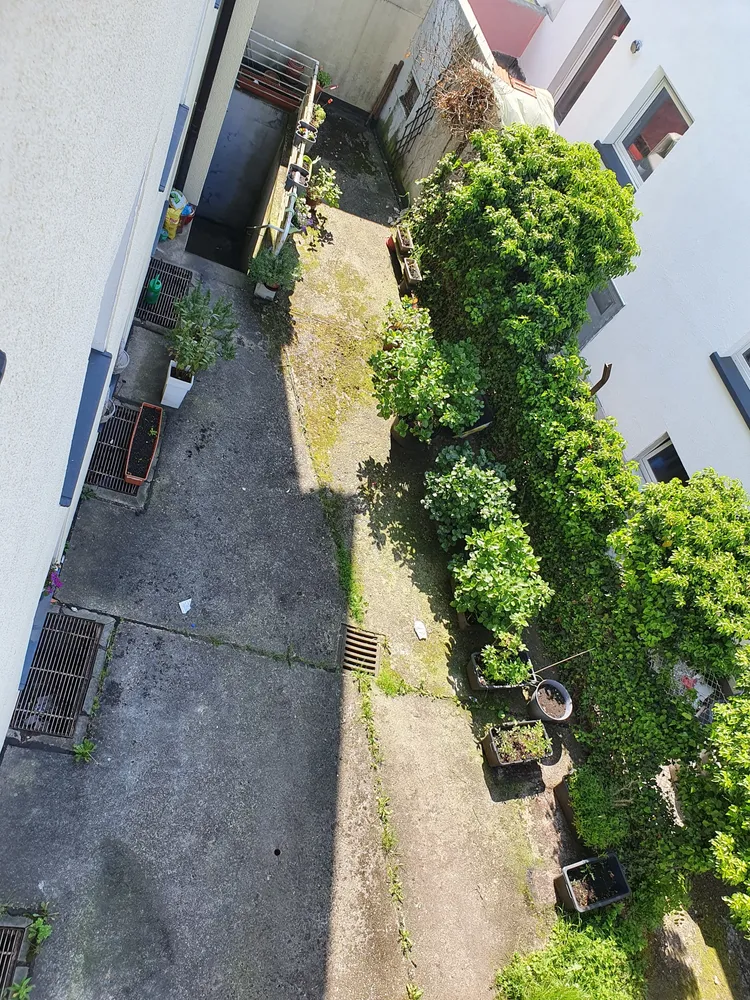 4 Zimmer Wohnung mit 82 m² in Wuppertal – Bild 5