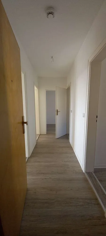 3 Zimmer Wohnung mit 61 m² in Zwickau – Bild 1