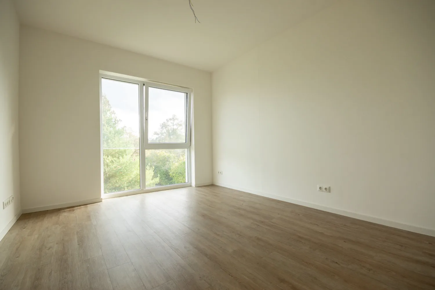 2 room apartment with 56 m² in Dresden – Photo 4