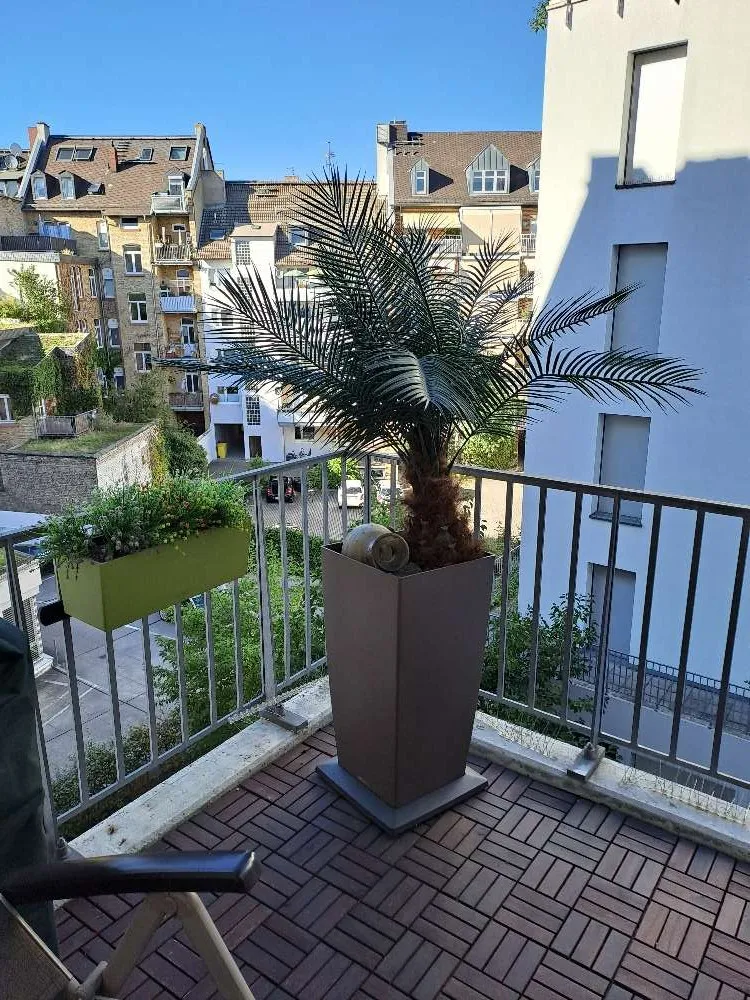 3 Zimmer Wohnung mit 121 m² in Mainz – Bild 6