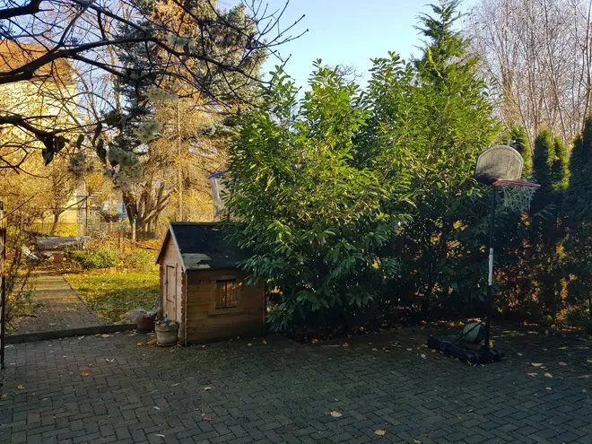 2 Zimmer Wohnung mit 54 m² in Leipzig – Bild 3