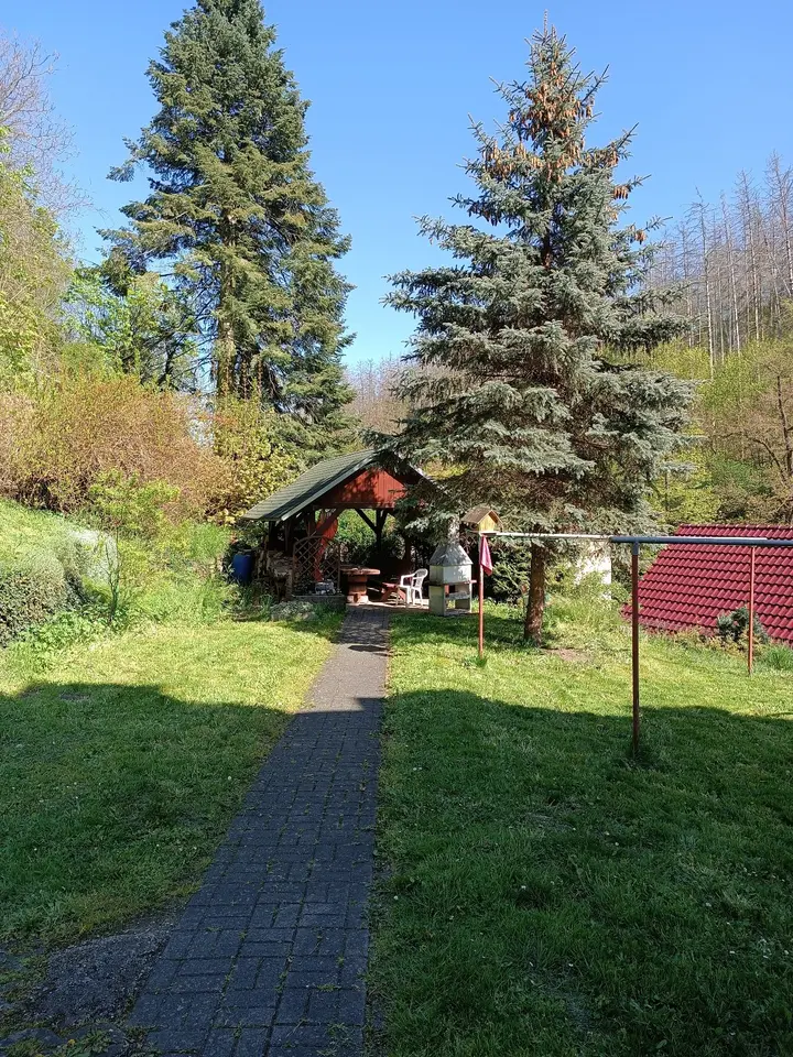 2 room apartment with 59 m² in Freital – Photo 6