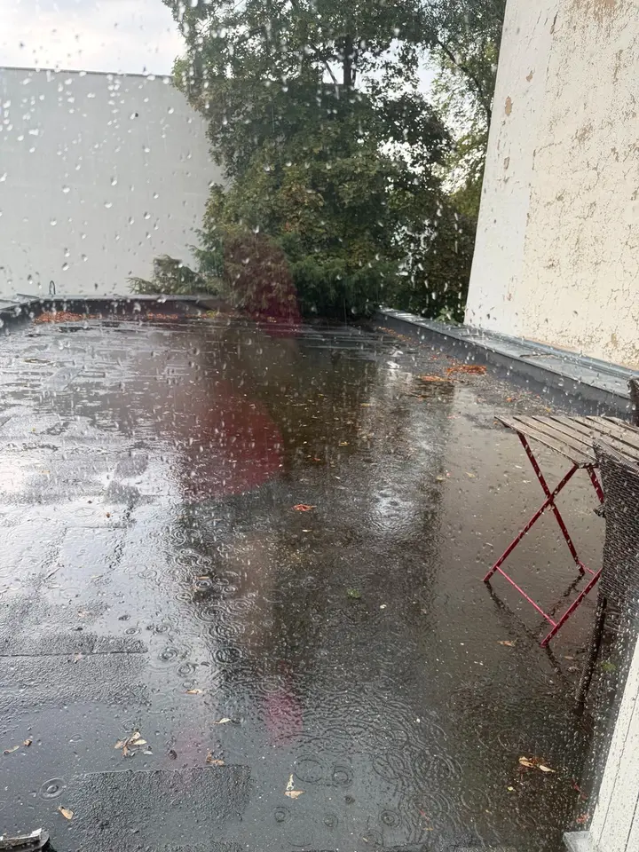 4 Zimmer Wohnung mit 85 m² in Bonn – Bild 6