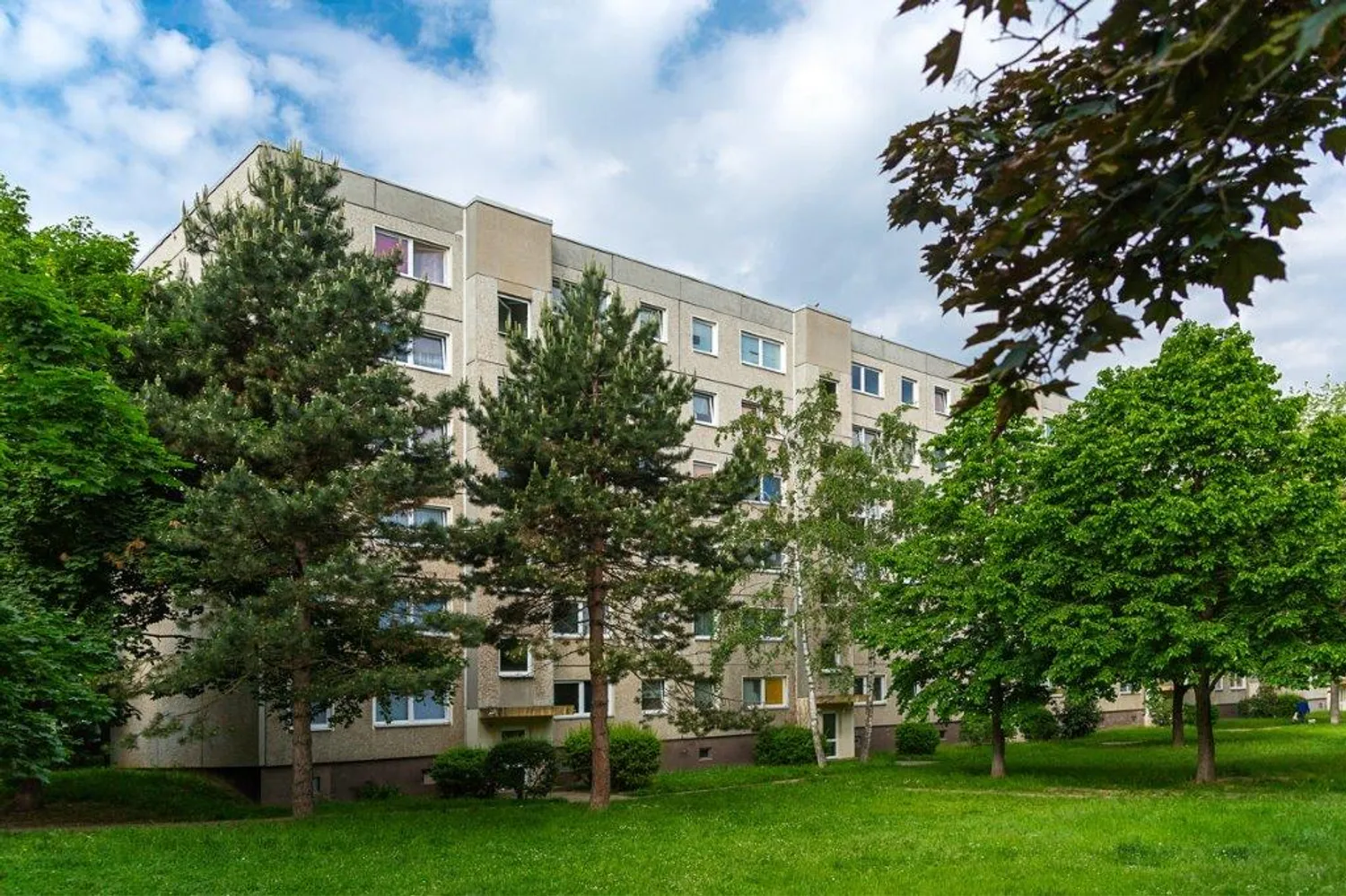 3 room apartment with 64 m² in Dresden – Photo 1