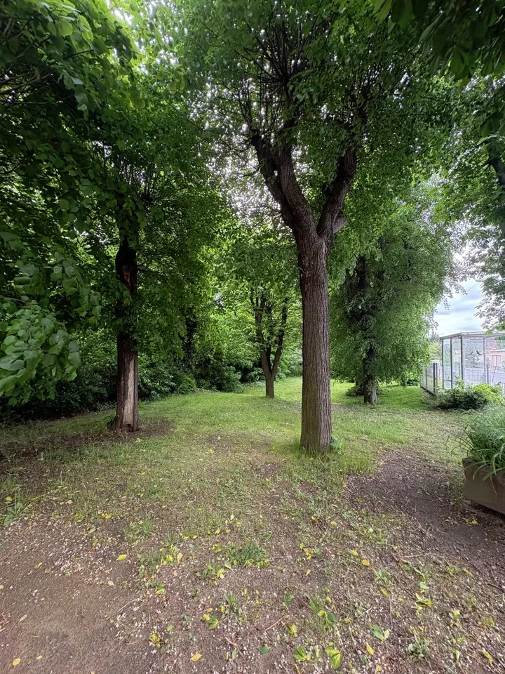 2 Zimmer Wohnung mit 47 m² in Radebeul – Bild 5