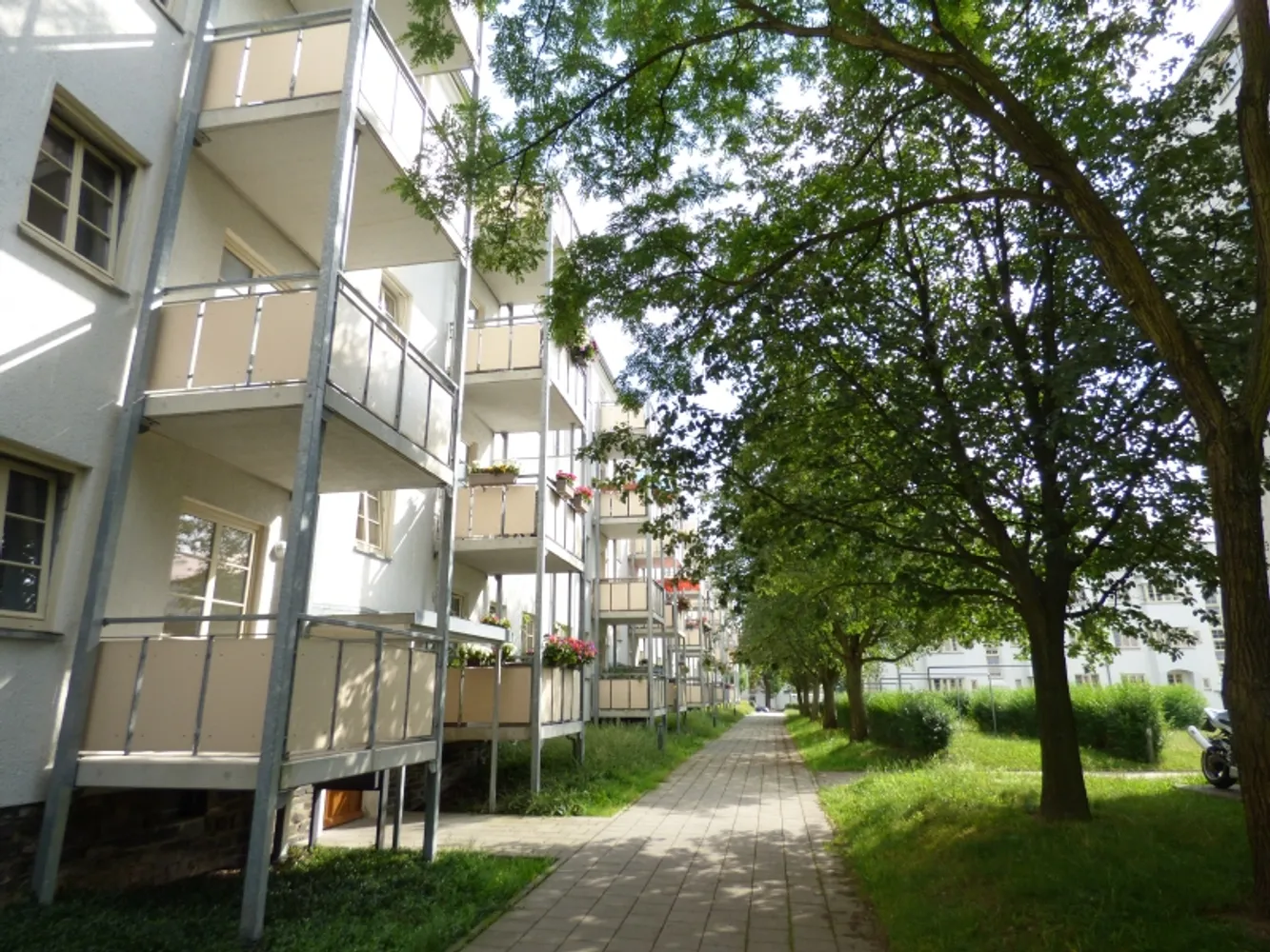 2 room apartment with 53 m² in Chemnitz – Photo 2