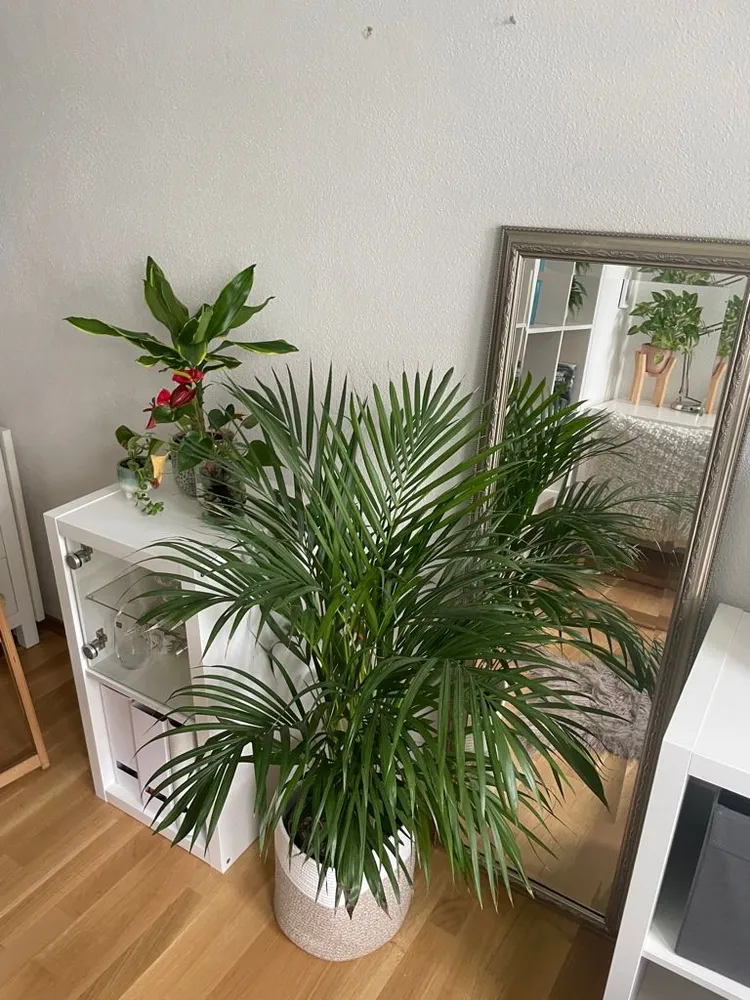 2 Zimmer Wohnung mit 27 m² in Mönchengladbach – Bild 9