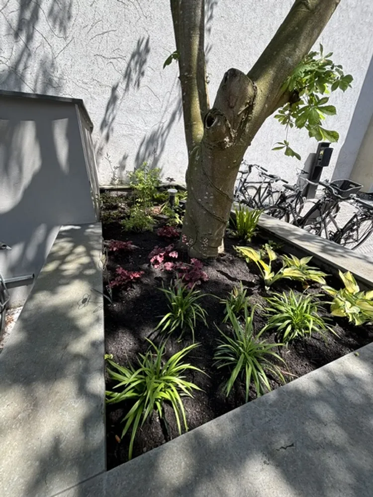 1 Zimmer Wohnung mit 34 m² in Münster – Bild 3