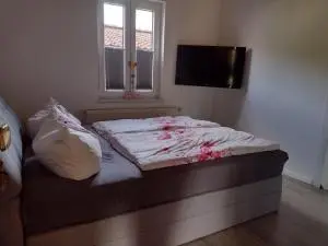 WG-Zimmer mit 24 m² in Halberstadt – Bild 7