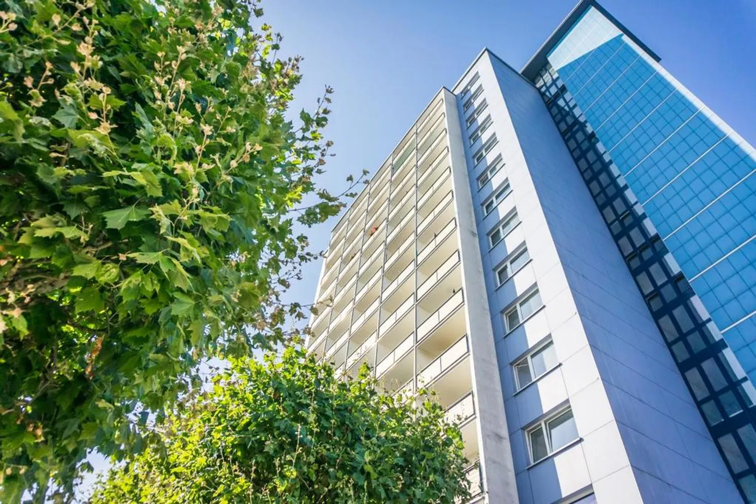 1 Zimmer Wohnung mit 27 m² in Chemnitz – Bild 4