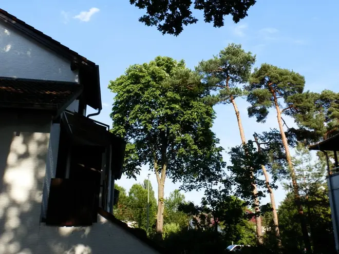 6 Zimmer Haus mit 148 m² in Darmstadt – Bild 7