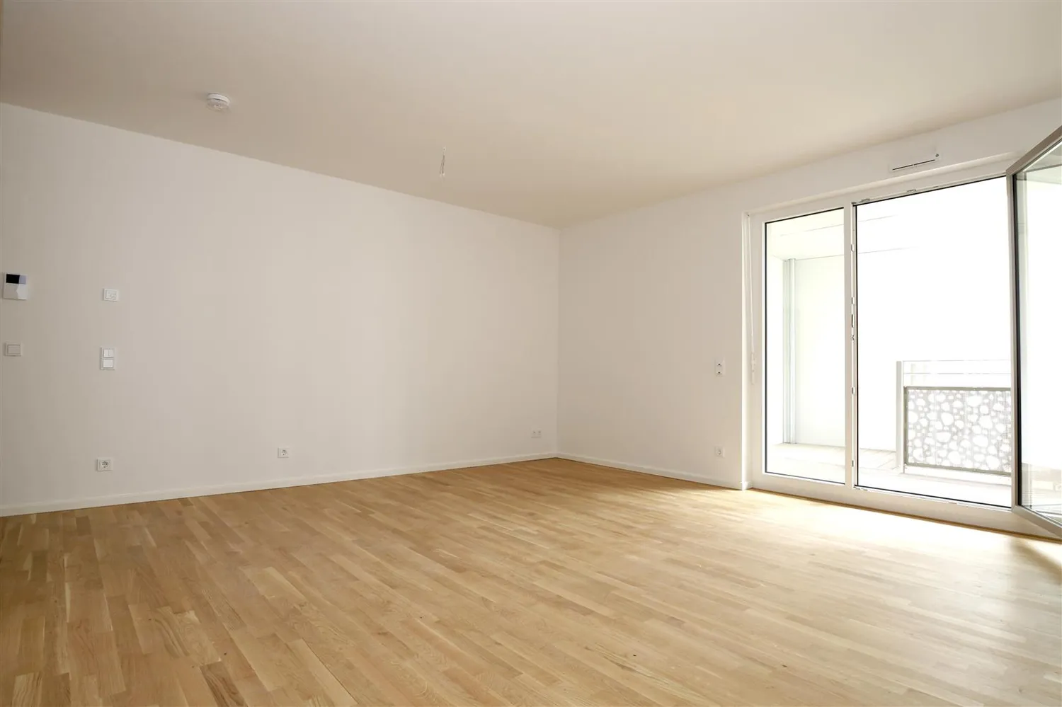 2 Zimmer Wohnung mit 75 m² in Dresden – Bild 1