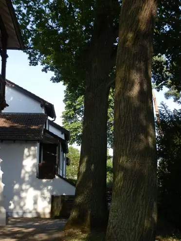 6 Zimmer Haus mit 148 m² in Darmstadt – Bild 8
