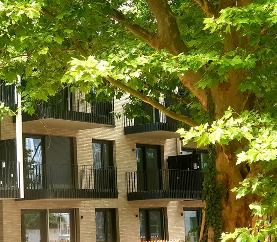 3 Zimmer Wohnung mit 82 m² in Düsseldorf – Bild 3