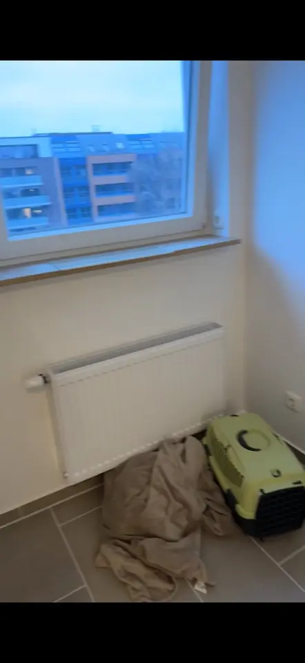 2 Zimmer Wohnung mit 52 m² in Kiel – Bild 5