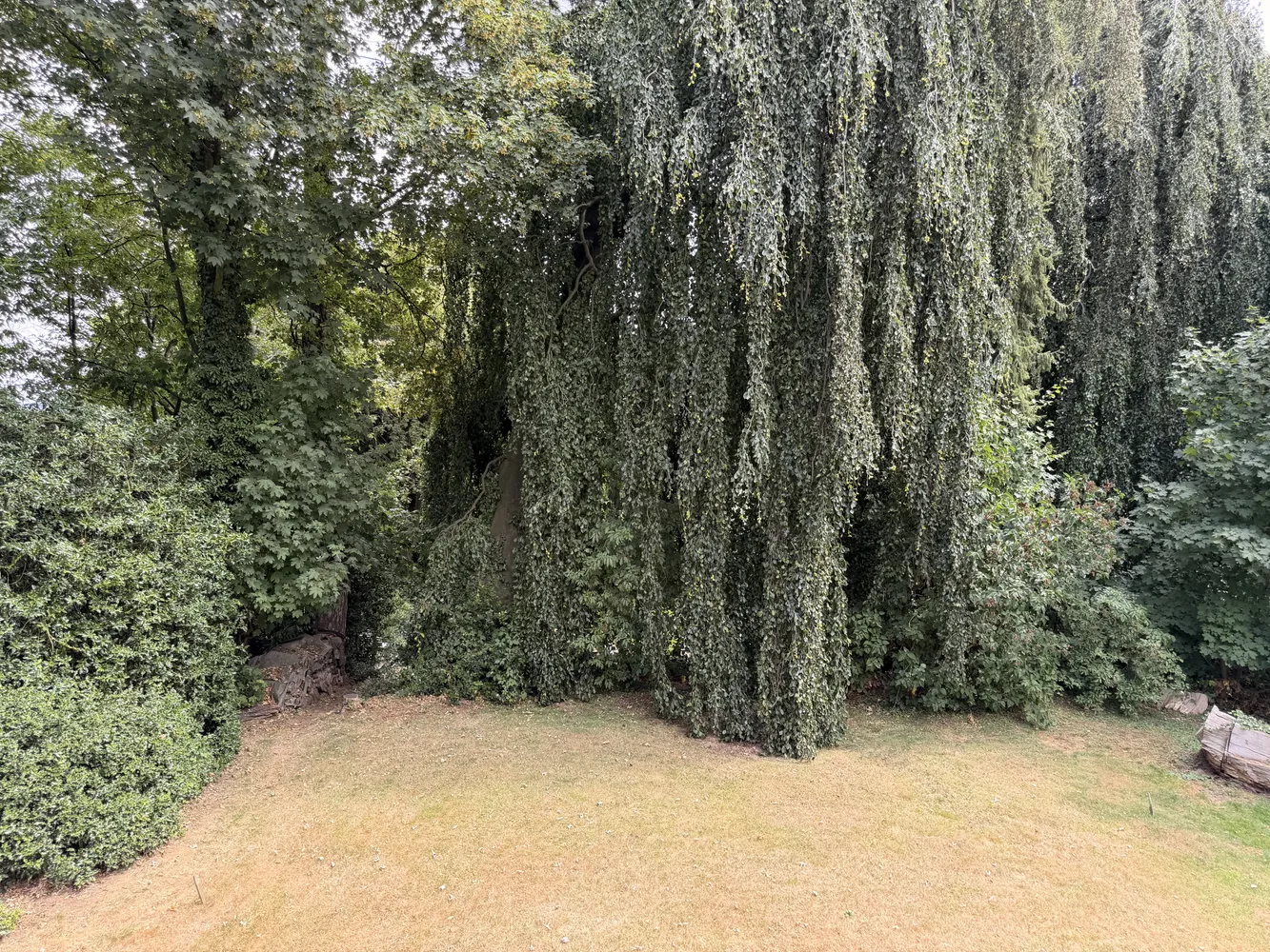 2 Zimmer Wohnung mit 79 m² in Aachen – Bild 12