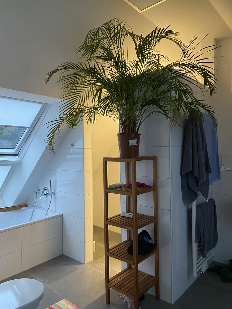 3 Zimmer Wohnung mit 135 m² in Düsseldorf – Bild 10