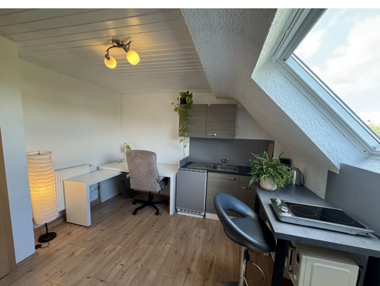1 Zimmer Wohnung mit 16 m² in Heidelberg – Bild 2
