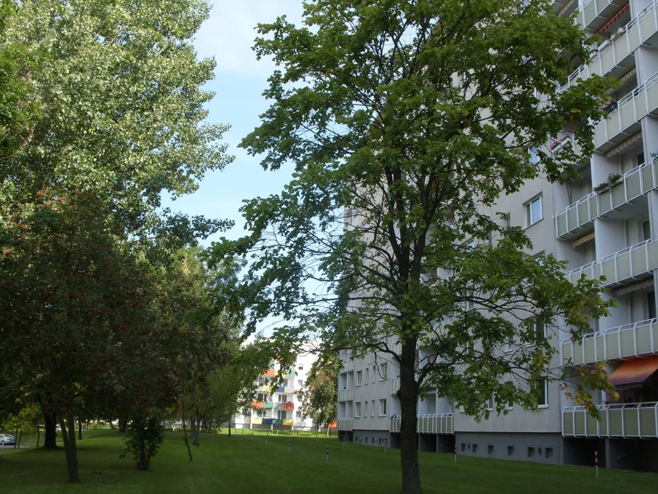 5 room apartment with 116 m² in Chemnitz – Photo 4