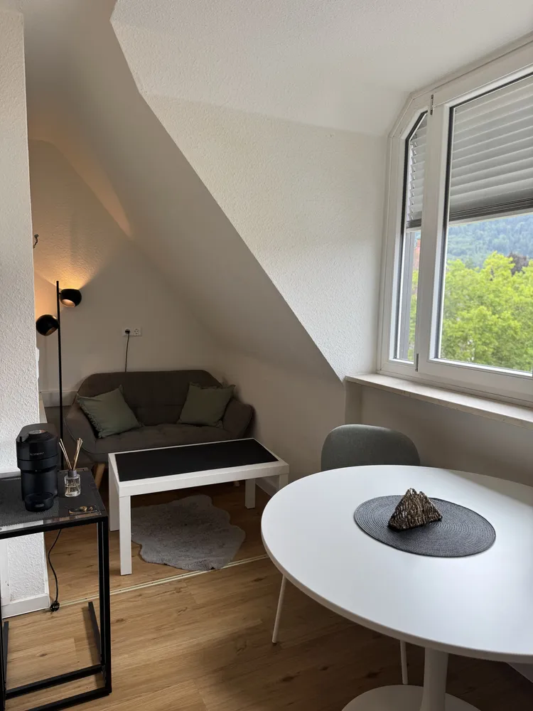 1 Zimmer Wohnung mit 27 m² in Freiburg im Breisgau – Bild 2