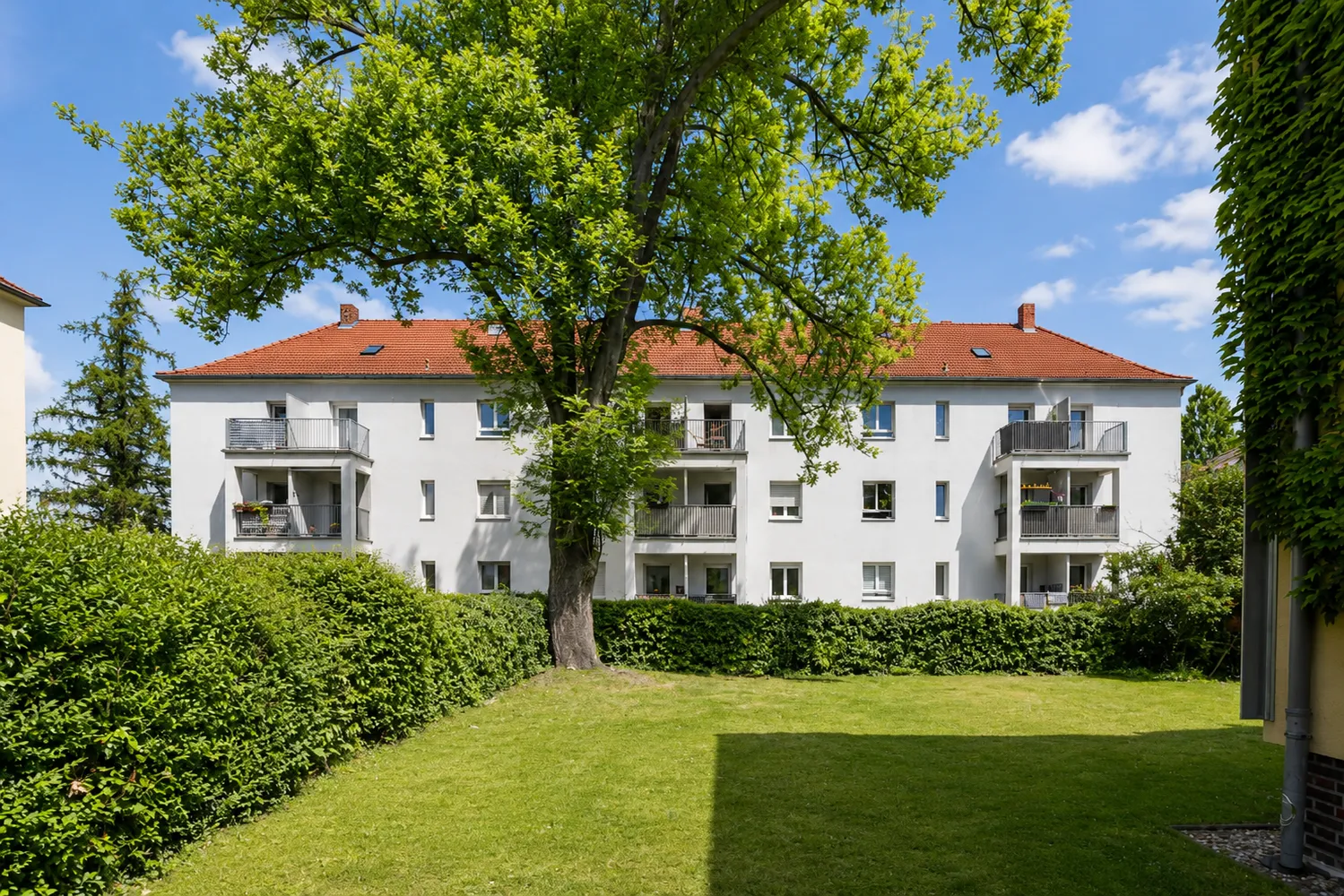2 room apartment with 37 m² in Dresden – Photo 3