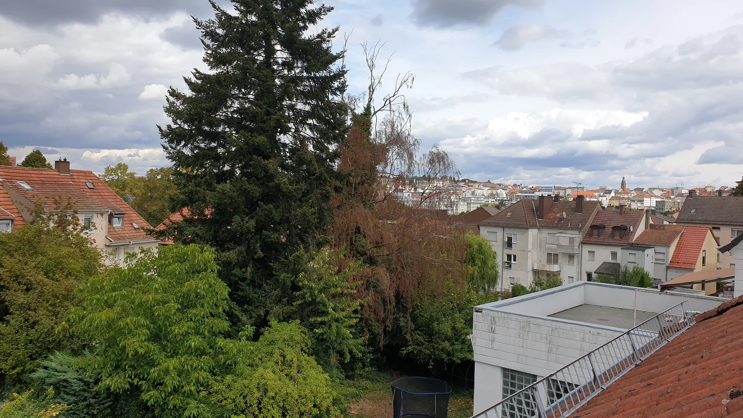 2 room apartment with 34 m² in Pirmasens – Photo 11