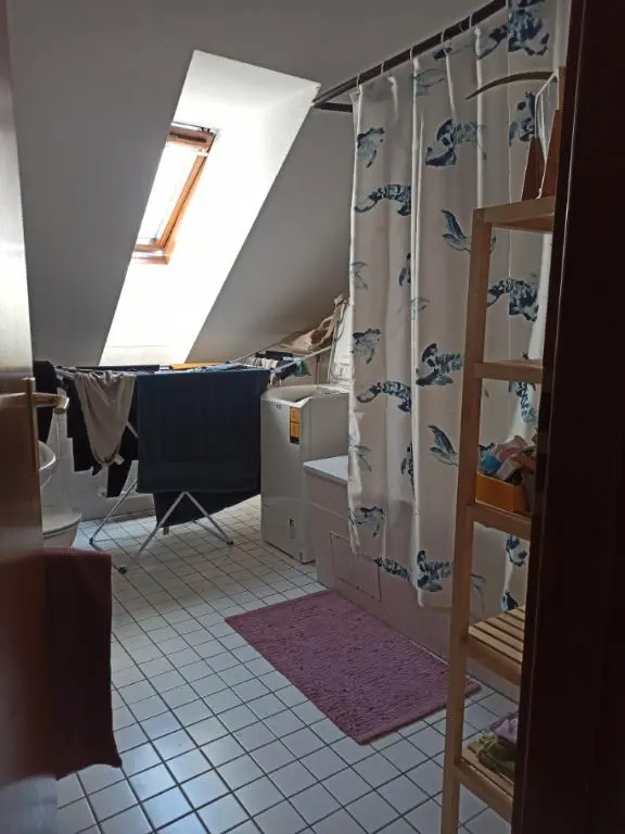 2 Zimmer Wohnung mit 41 m² in Dresden – Bild 5