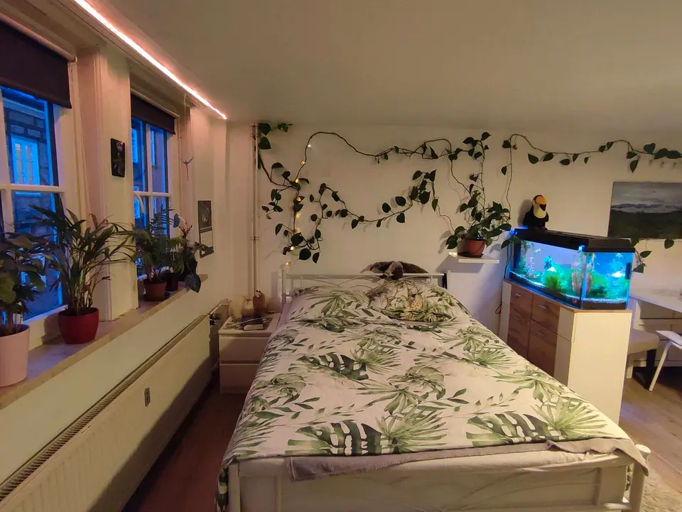 Studio mit 30 m² in Marburg – Bild 2