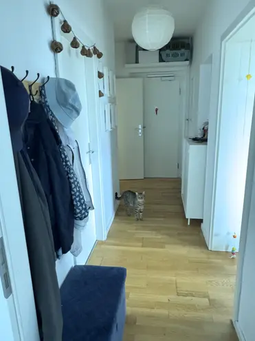 2 Zimmer Wohnung mit 51 m² in Darmstadt – Bild 3