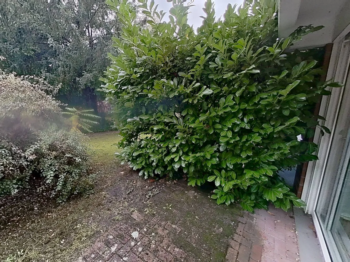 2 room apartment with 50 m² in Hanover – Photo 5