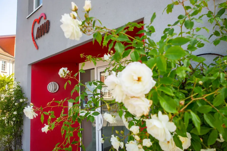 Studio mit 25 m² in Stralsund – Bild 10