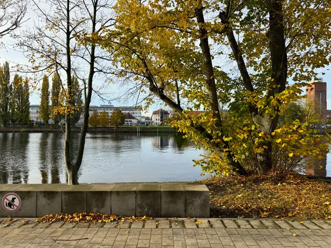 2 Zimmer Wohnung mit 55 m² in Berlin – Bild 3