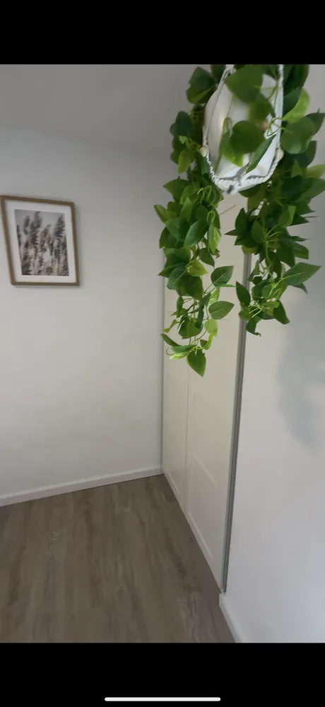 1 Zimmer Wohnung mit 26 m² in Mainz – Bild 6