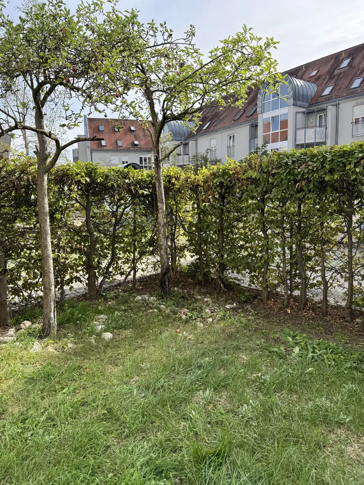 1 Zimmer Wohnung mit 41 m² in Nürnberg – Bild 7