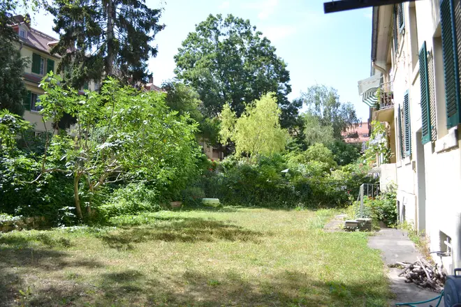 3 Zimmer Wohnung mit 79 m² in Mainz – Bild 3
