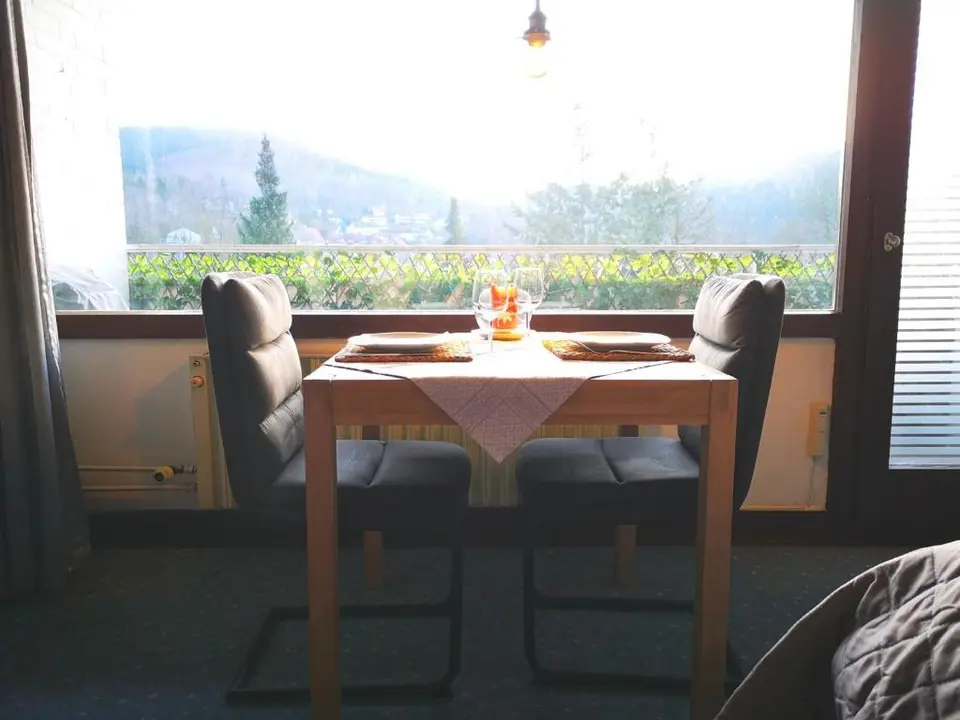 Studio mit 30 m² in Osterode am Harz – Bild 9