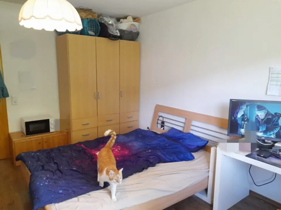 2 Zimmer Wohnung mit 20 m² in Weinheim – Bild 2