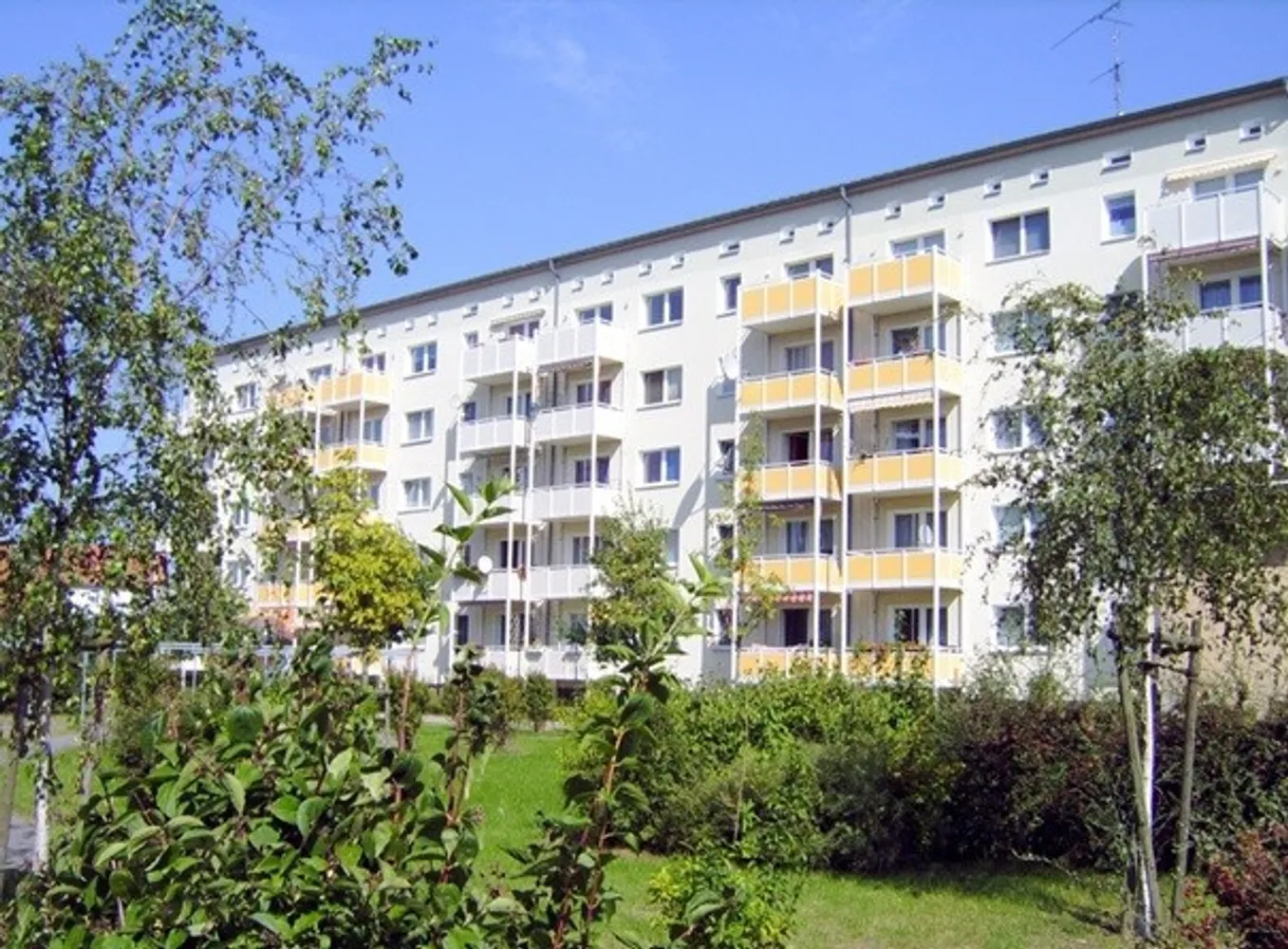2 room apartment with 49 m² in Eilenburg – Photo 1