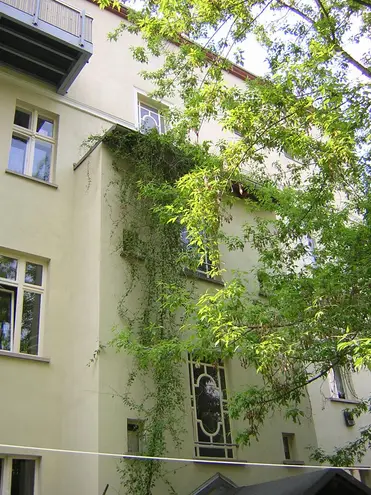 2 Zimmer Wohnung mit 55 m² in Potsdam – Bild 3