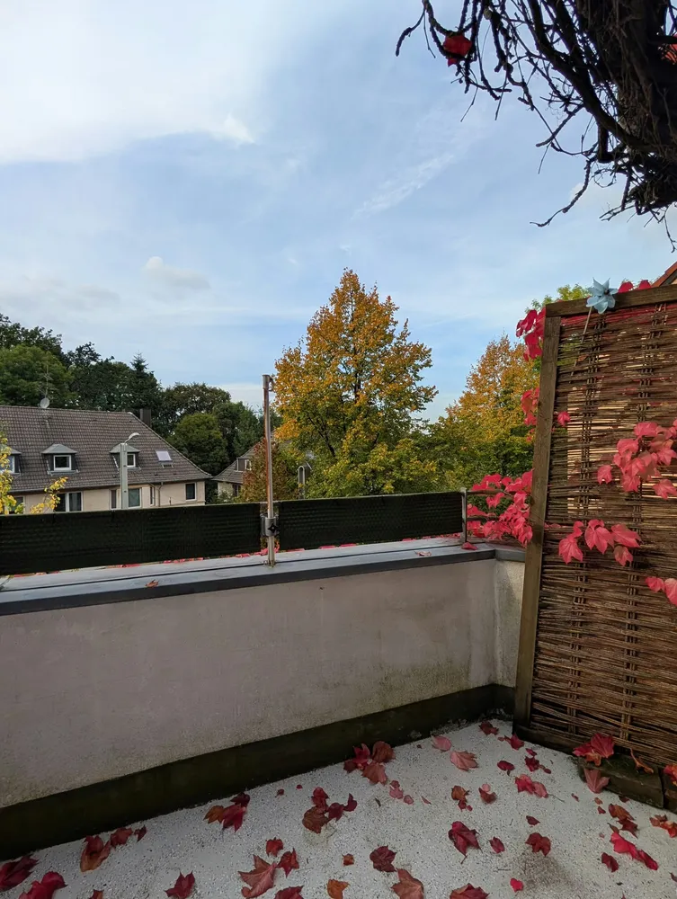 3 Zimmer Wohnung mit 90 m² in Essen – Bild 6