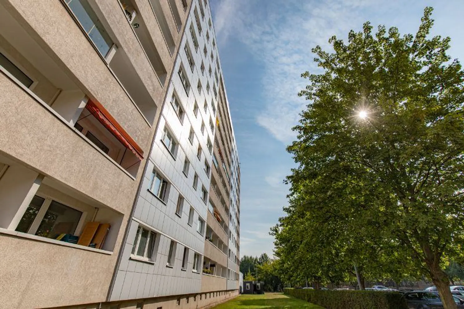 2 room apartment with 49 m² in Magdeburg – Photo 4