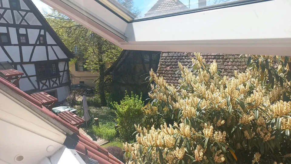 5 Zimmer Haus mit 100 m² in Mosbach – Bild 8