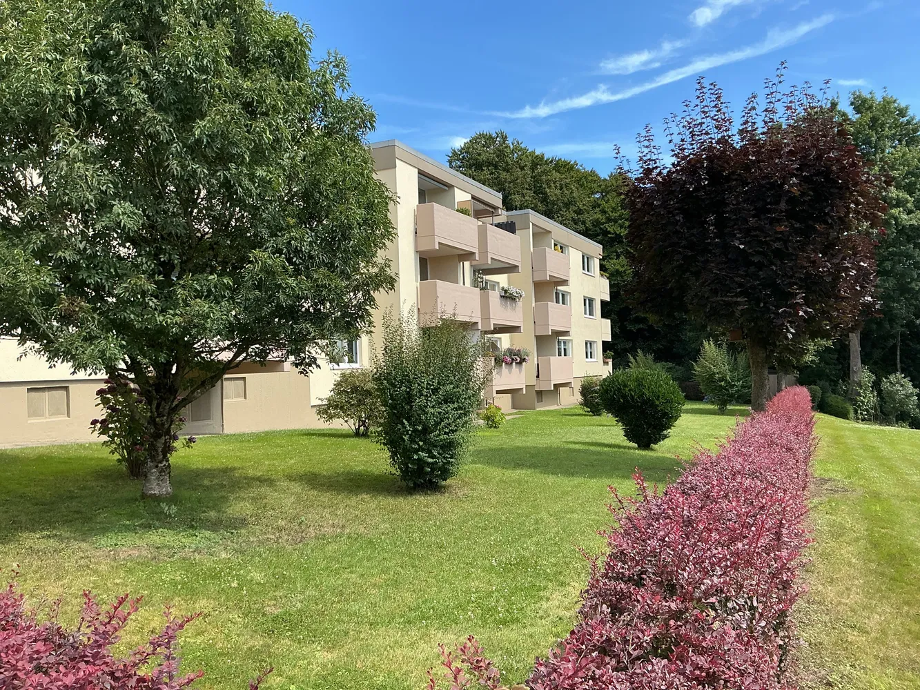 2 Zimmer Wohnung mit 56 m² in Wuppertal – Bild 2
