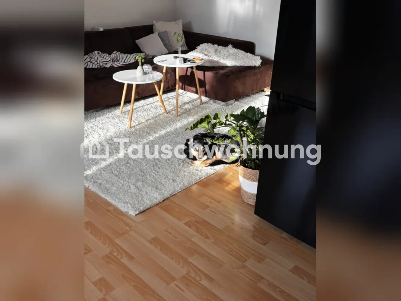 3 Zimmer Wohnung mit 65 m² in Freiburg im Breisgau – Bild 4