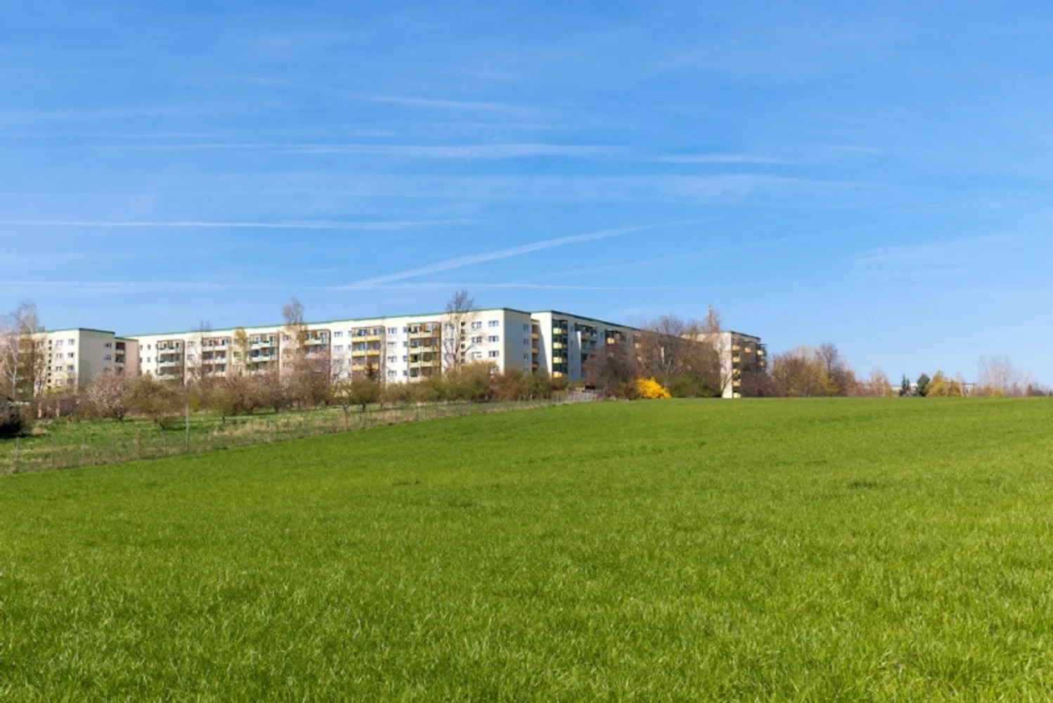 3 Zimmer Wohnung mit 60 m² in Altenburg – Bild 8