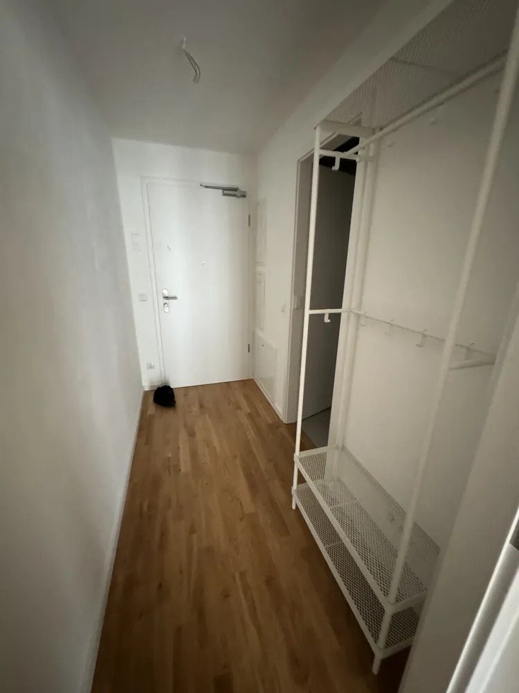1 room apartment with 29 m² in Dresden – Photo 4