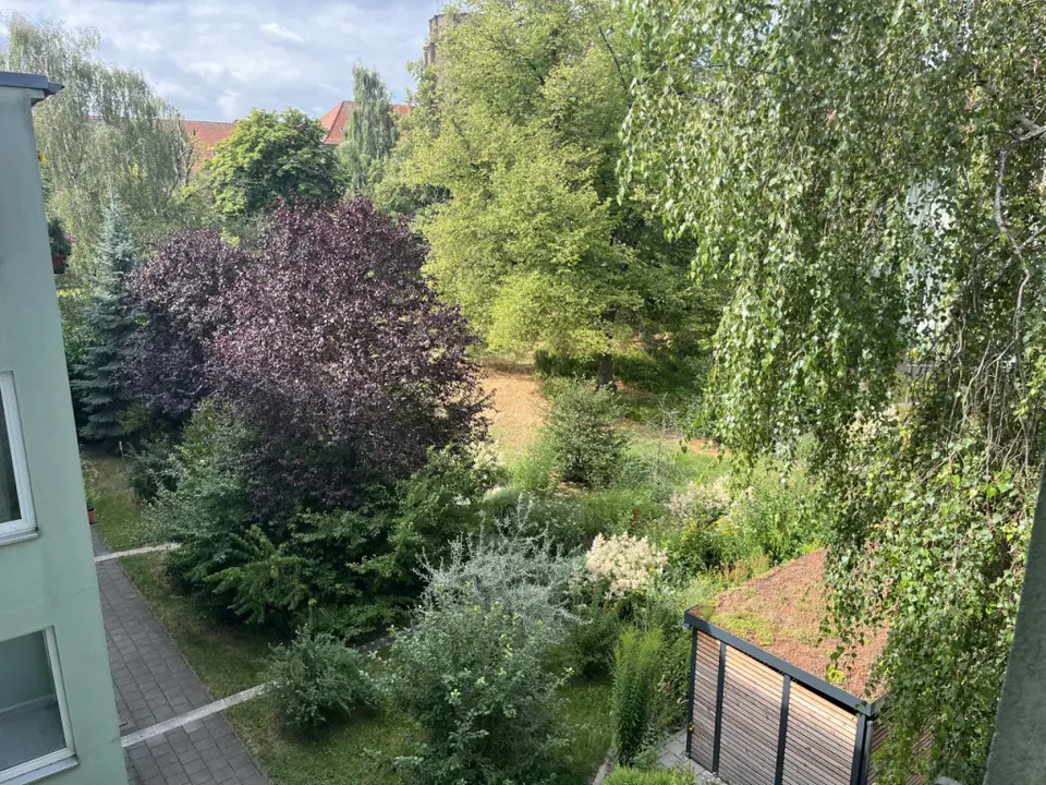 2 Zimmer Wohnung mit 47 m² in Weißenfels – Bild 3